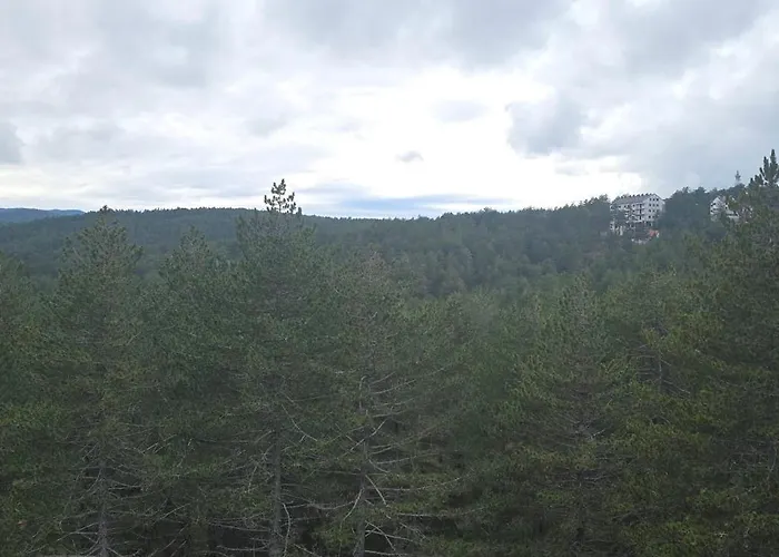 Bor 007 Tara, Kaluderske Bare Solotuša