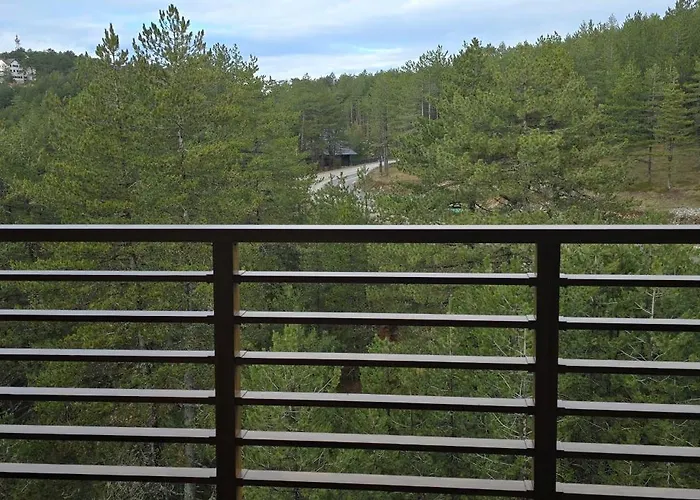 Bor 007 Tara, Kaluderske Bare Apartment *